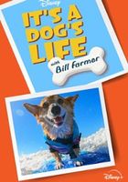 It’s A Dog’s Life With Bill Farmer