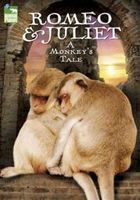 Romeo i Julia: opowieść o małpach