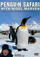 Niezwykły świat pingwinów
